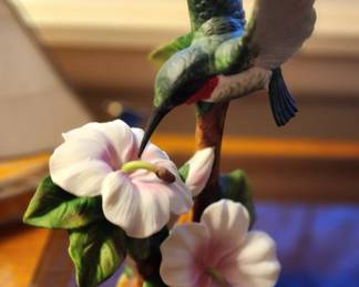 Hummingbird