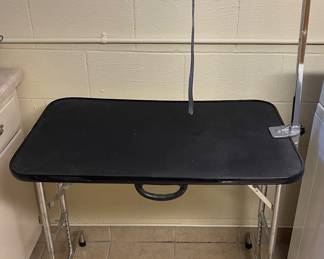 Dog Grooming Table