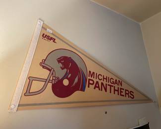 Michigan Panthers Sports Flag