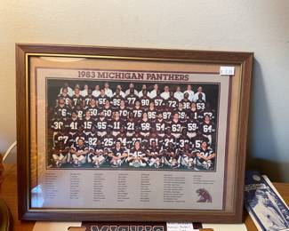 1983 Michigan Panthers Team Framed Picture