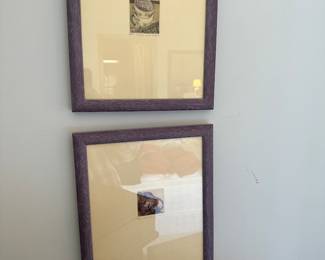 Signed and numbered Prints in frames