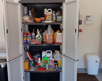 Car and garage cleaning items
