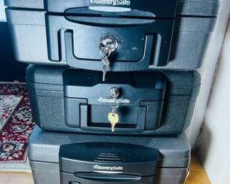 Sentry Safe