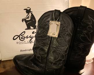 Larry Mahon men's boots, never worn, 12EE