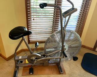 Schwinn AirDyne