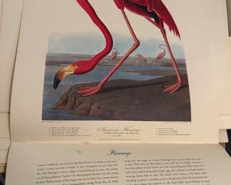 Northwestern Mutual Centennial Bird Prints, set of 15