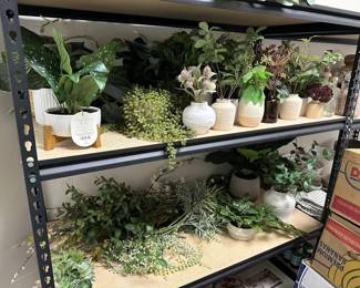 faux plants cactus cacti plant greenery faux green 