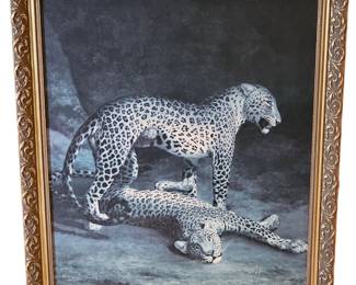 CheetahPhotoroom