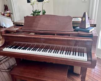 Young Chang Baby Grand