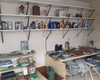 Paints, Oils and Garage Items