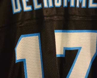 Jake Delhomme Panthers jersey 