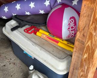 Cooler and pool toys