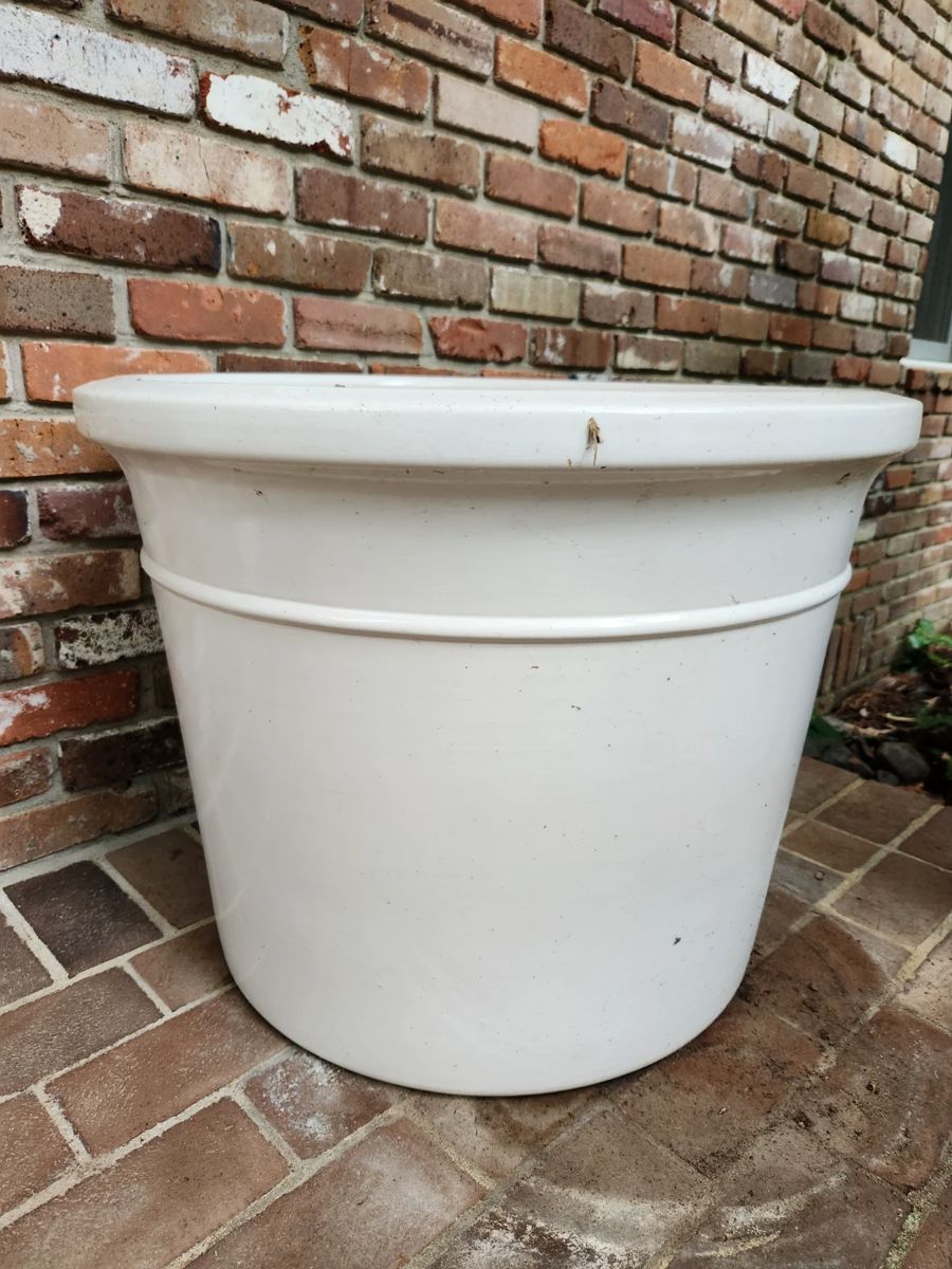 Blue Moon Estate Sale West Little Rock starts on 6/1/2024