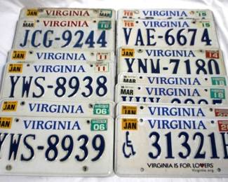 8166 - 13 VA Metal License Plates
