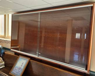 LARGE WALL TROPHY CASES