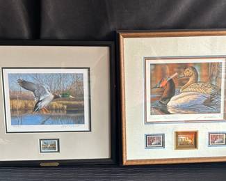 Framed Collectora Duck Art And Stamps