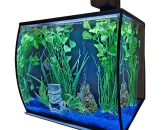 Euro Style Bow Front Fish Tank with Angel Fish Pump Filter Light Chemicals Food
