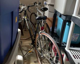 . . . two Schwinn bikes