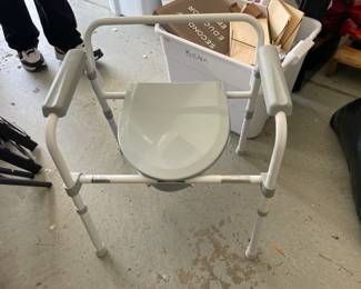 . . . potty chair