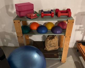 Exercise items including Balance Pods