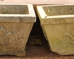 2 - Pair concrete planters, as is, 6 x 13.25 x 13.25
