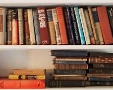 201 - 2 Shelf lots of books
