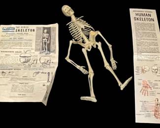 Renewal Products 1959 Human Skeleton Kit