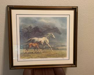 Beautifully framed signed & numbered Fred Stone