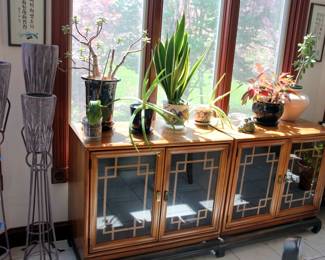 Nice Selection of Live Houseplants, Cabinets