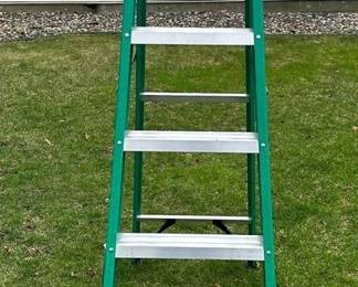 Werner 6step Ladder