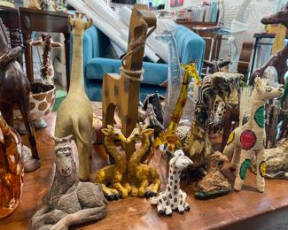 Giraffes and more Giraffes from all around the world