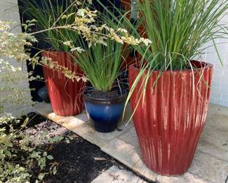 Beautiful Planters in the front yard, red, blue, green