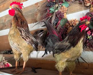 Vintage real feather hen and rooster figures, somewhat fragile and light molting rooster is 18"H