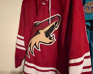 sports wear and collectibles