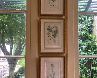 One set of desirable  floral botanical s. The owner was a well know garden enthusiast 🌸🌻