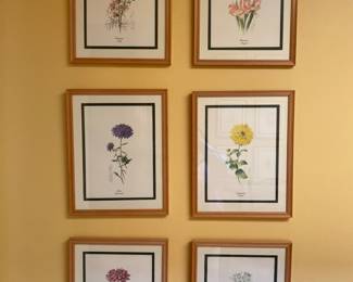 Beautiful botanicals- one of several sets