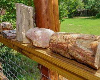 Stones, geodes, and fossilized wood