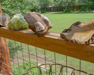 Stones, geodes, and fossilized wood