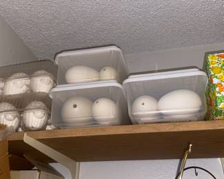 And More (Ostrich Eggs)