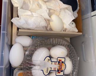 More Ostrich Eggs and Others