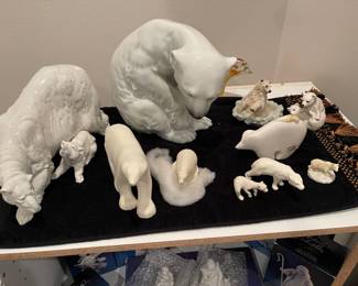 Collection of Polar bears. 