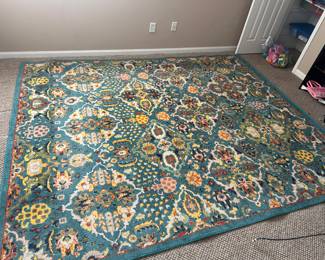  Fun area rug 
