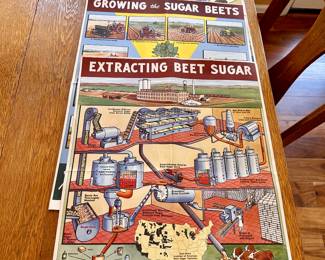 Educational 1960-70's posters about BEET SUGAR!