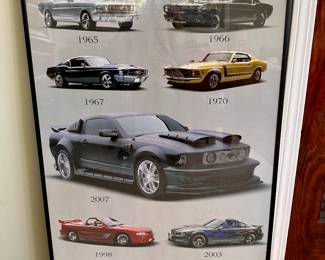 Spirit of Evolution Mustang print.