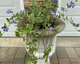 Pair matching Concrete planters 