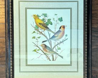 Hand-Colored Bird Prints - 2 Available. Each Measures 18" x 20.5". Photo 2 of 2.