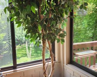 large artificial Ficus Tree