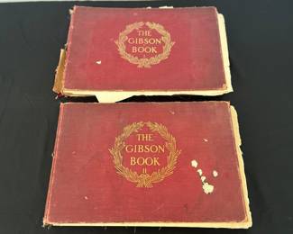 Cool Gibson Books((Volume I and II)