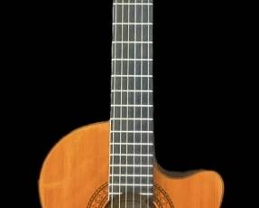 Washbburn ElectricAcoustic Guitar