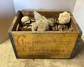 Crate of fossils & rocks